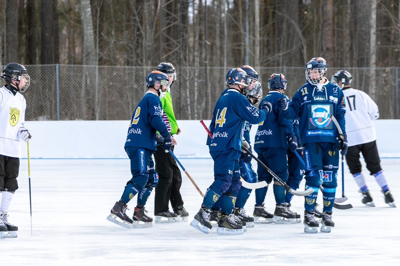 dejtingsajter norrbotten elevage